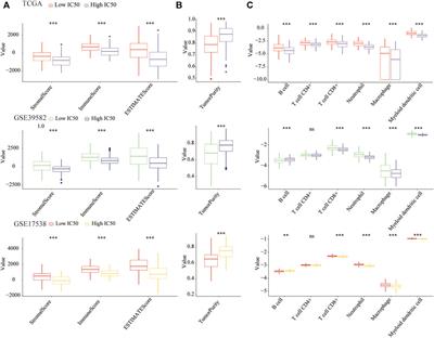 BCL2A1 and CCL18 Are Predictive Biomarkers of Cisplatin Chemotherapy and Immunotherapy in Colon Cancer Patients